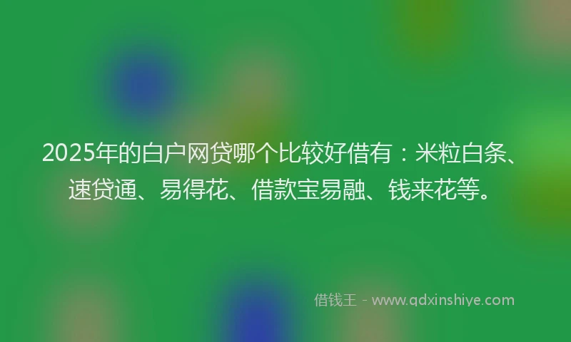 2025年的白户网贷哪个比较好借有：米粒白条、速贷通、易得花、借款宝易融、钱来花等。
