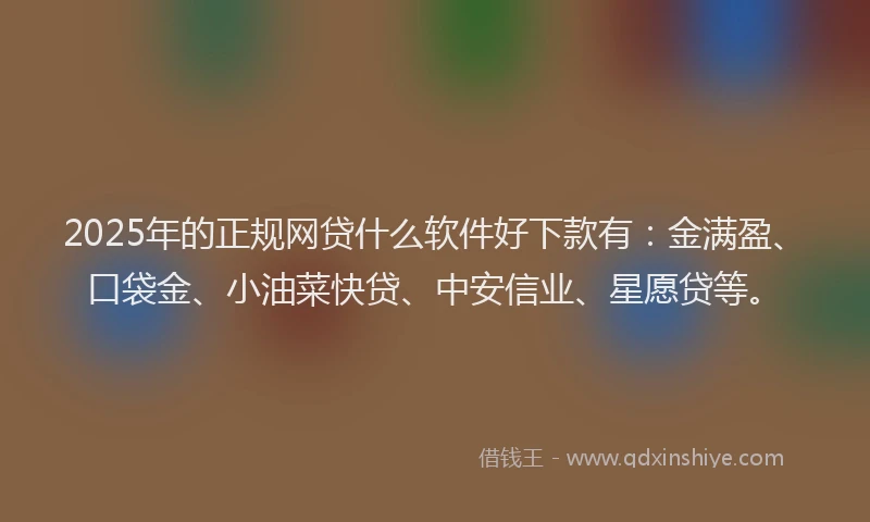 2025年的正规网贷什么软件好下款有：金满盈、口袋金、小油菜快贷、中安信业、星愿贷等。
