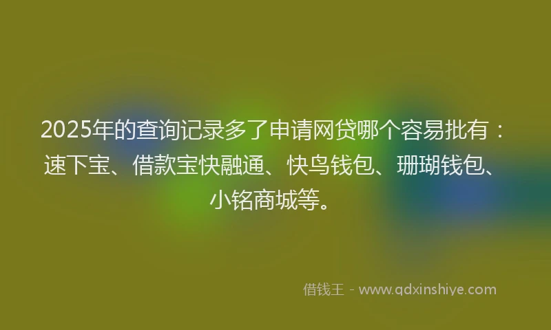 2025年的查询记录多了申请网贷哪个容易批有：速下宝、借款宝快融通、快鸟钱包、珊瑚钱包、小铭商城等。