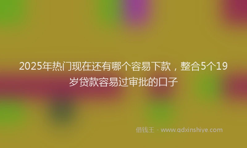 2025年热门现在还有哪个容易下款，整合5个19岁贷款容易过审批的口子