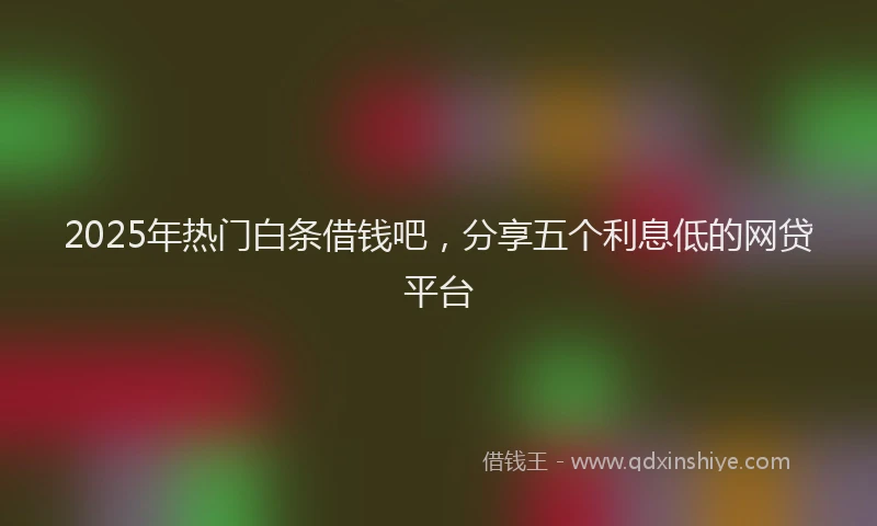2025年热门白条借钱吧，分享五个利息低的网贷平台