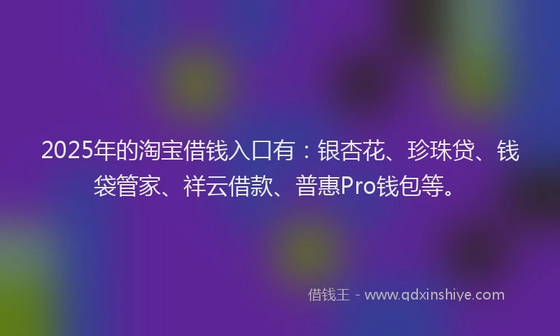 2025年的淘宝借钱入口有：银杏花、珍珠贷、钱袋管家、祥云借款、普惠Pro钱包等。