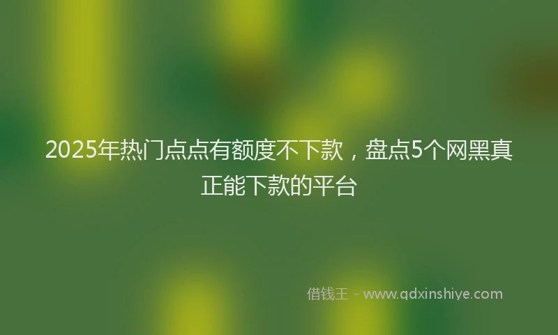 2025年热门点点有额度不下款，盘点5个网黑真正能下款的平台