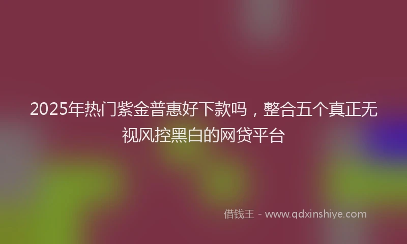 2025年热门紫金普惠好下款吗，整合五个真正无视风控黑白的网贷平台