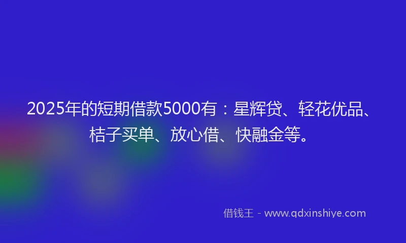 2025年的短期借款5000有：星辉贷、轻花优品、桔子买单、放心借、快融金等。