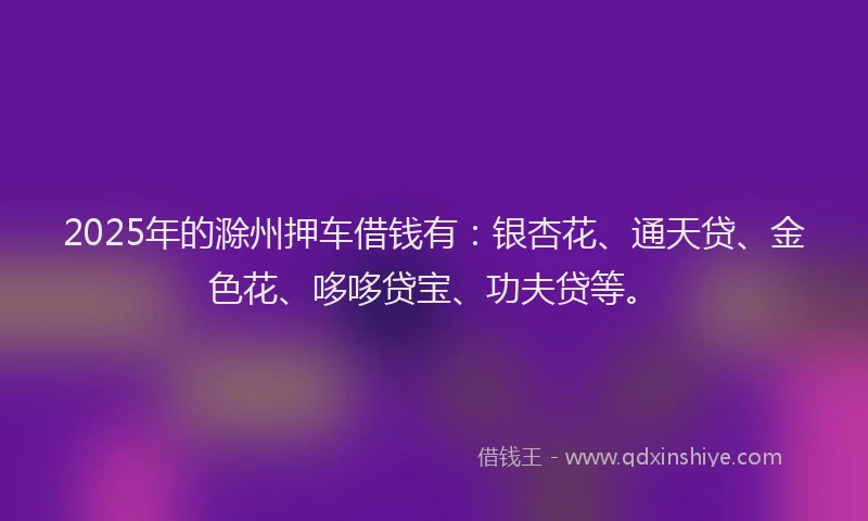 2025年的滁州押车借钱有：银杏花、通天贷、金色花、哆哆贷宝、功夫贷等。