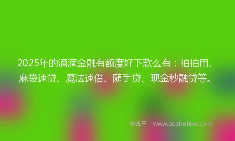 2025年的滴滴金融有额度好下款么有：拍拍用、麻袋速贷、魔法速借、随手贷、现金秒融贷等。