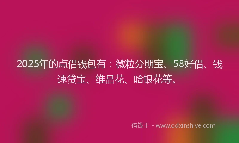 2025年的点借钱包有：微粒分期宝、58好借、钱速贷宝、维品花、哈银花等。