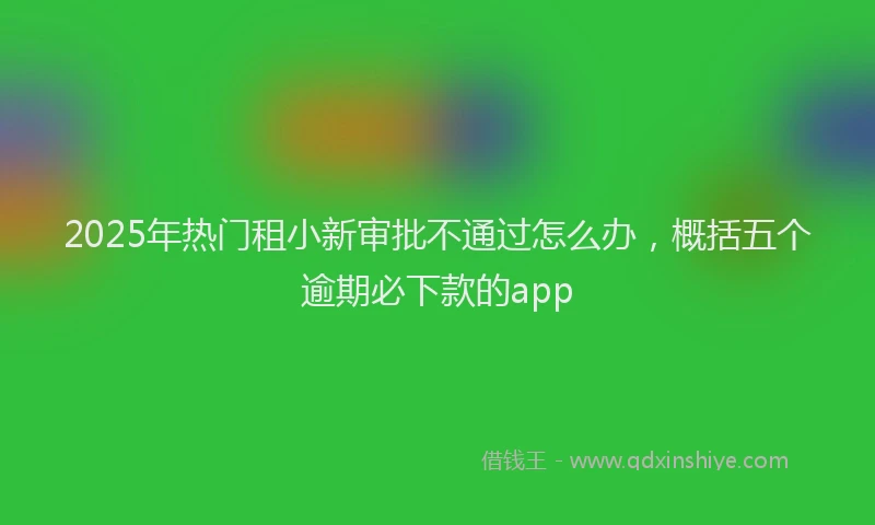 2025年热门租小新审批不通过怎么办，概括五个逾期必下款的app