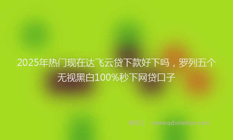 2025年热门现在达飞云贷下款好下吗，罗列五个无视黑白100%秒下网贷口子