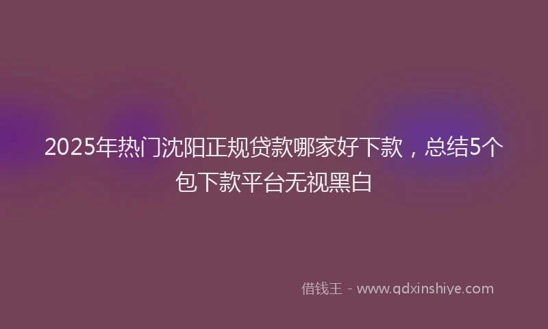 2025年热门沈阳正规贷款哪家好下款，总结5个包下款平台无视黑白