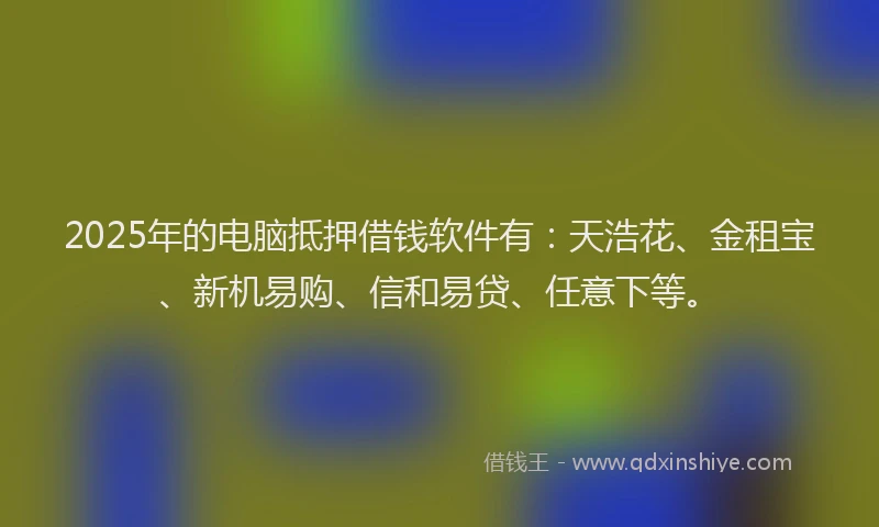 2025年的电脑抵押借钱软件有：天浩花、金租宝、新机易购、信和易贷、任意下等。