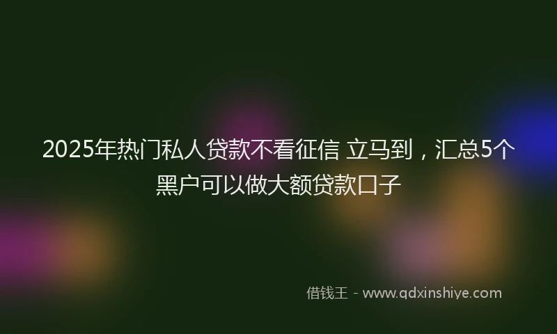 2025年热门私人贷款不看征信 立马到，汇总5个黑户可以做大额贷款口子