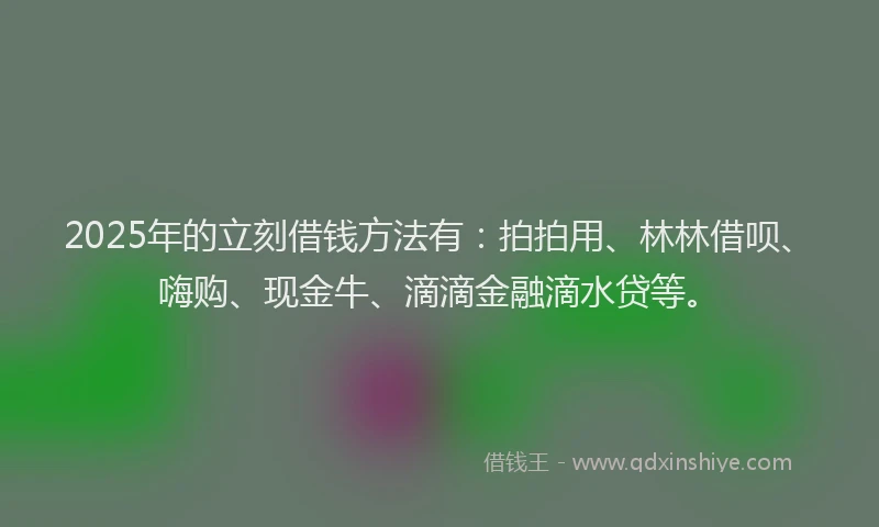 2025年的立刻借钱方法有：拍拍用、林林借呗、嗨购、现金牛、滴滴金融滴水贷等。