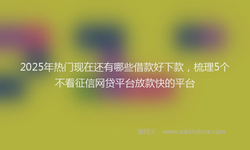 2025年热门现在还有哪些借款好下款，梳理5个不看征信网贷平台放款快的平台
