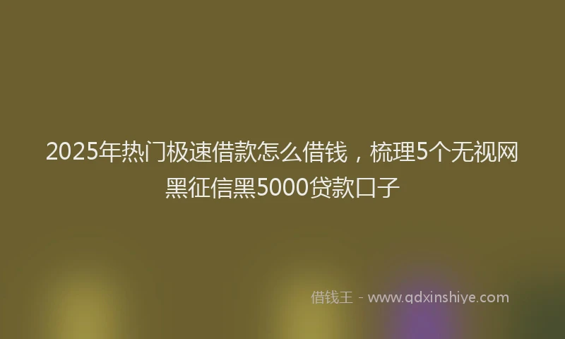2025年热门极速借款怎么借钱，梳理5个无视网黑征信黑5000贷款口子