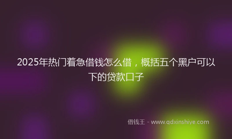 2025年热门着急借钱怎么借，概括五个黑户可以下的贷款口子