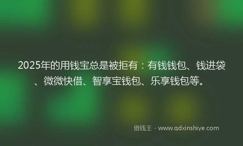 2025年的用钱宝总是被拒有：有钱钱包、钱进袋、微微快借、智享宝钱包、乐享钱包等。