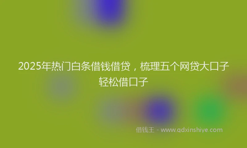 2025年热门白条借钱借贷，梳理五个网贷大口子轻松借口子