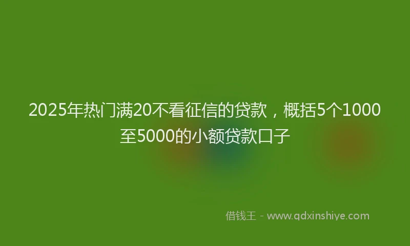 2025年热门满20不看征信的贷款，概括5个1000至5000的小额贷款口子
