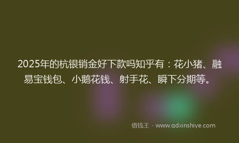 2025年的杭银销金好下款吗知乎有：花小猪、融易宝钱包、小鹅花钱、射手花、瞬下分期等。