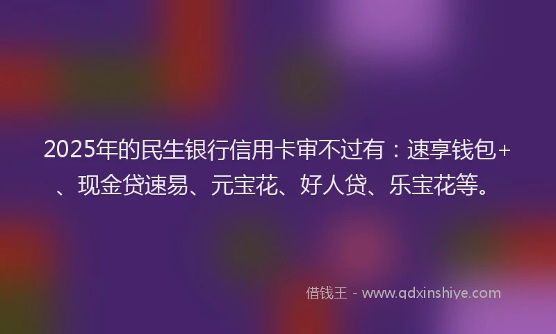 2025年的民生银行信用卡审不过有：速享钱包+、现金贷速易、元宝花、好人贷、乐宝花等。