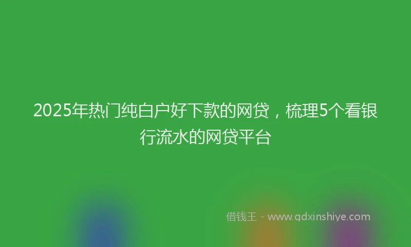 2025年热门纯白户好下款的网贷，梳理5个看银行流水的网贷平台