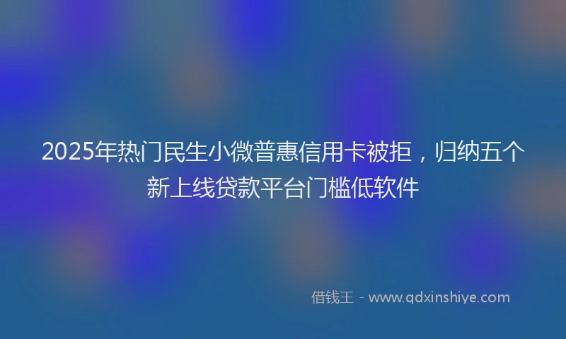 2025年热门民生小微普惠信用卡被拒，归纳五个新上线贷款平台门槛低软件