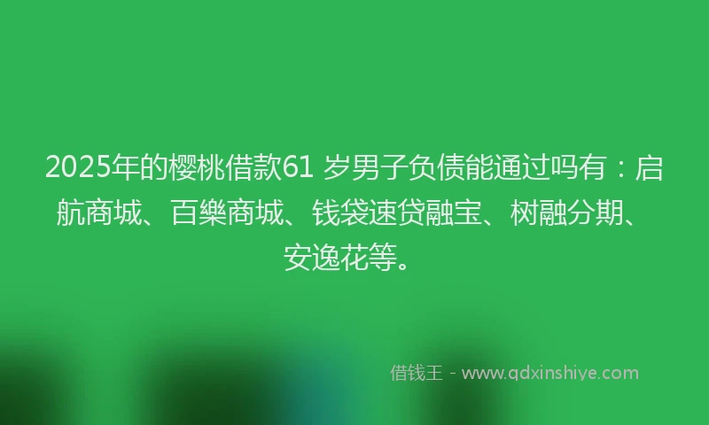 2025年的樱桃借款61 岁男子负债能通过吗有：启航商城、百樂商城、钱袋速贷融宝、树融分期、安逸花等。