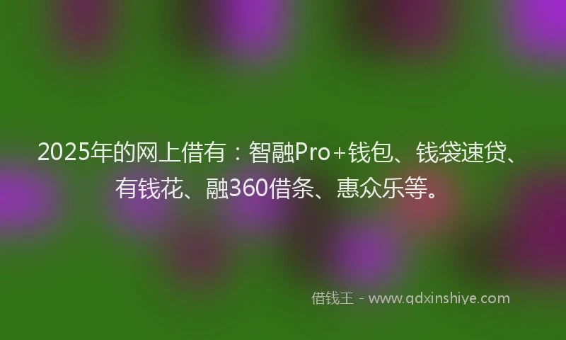 2025年的网上借有：智融Pro+钱包、钱袋速贷、有钱花、融360借条、惠众乐等。