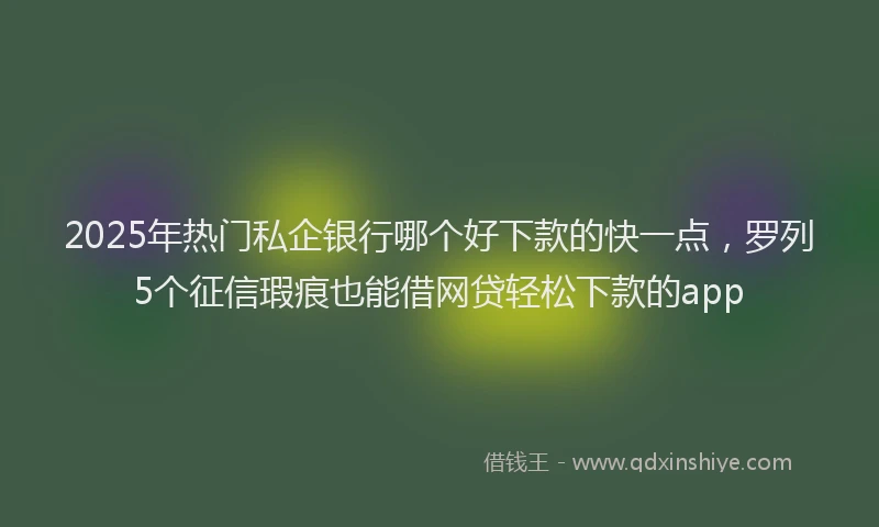 2025年热门私企银行哪个好下款的快一点，罗列5个征信瑕疵也能借网贷轻松下款的app