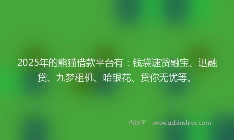 2025年的熊猫借款平台有：钱袋速贷融宝、迅融贷、九梦租机、哈银花、贷你无忧等。