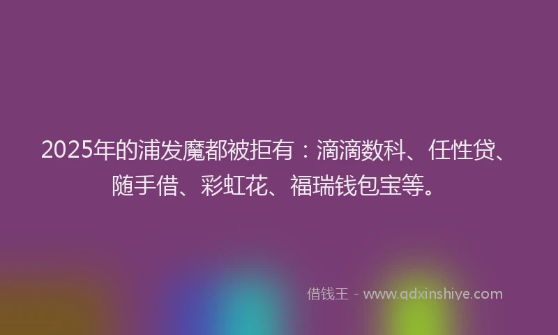 2025年的浦发魔都被拒有：滴滴数科、任性贷、随手借、彩虹花、福瑞钱包宝等。