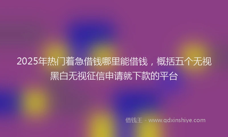 2025年热门着急借钱哪里能借钱，概括五个无视黑白无视征信申请就下款的平台