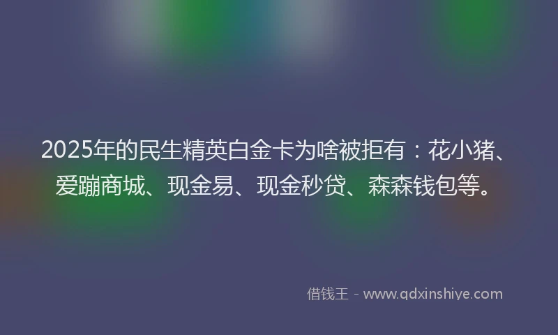 2025年的民生精英白金卡为啥被拒有：花小猪、爱蹦商城、现金易、现金秒贷、森森钱包等。