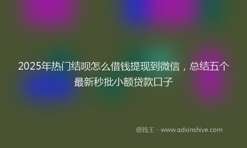 2025年热门结呗怎么借钱提现到微信，总结五个最新秒批小额贷款口子