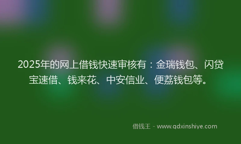 2025年的网上借钱快速审核有：金瑞钱包、闪贷宝速借、钱来花、中安信业、便荔钱包等。