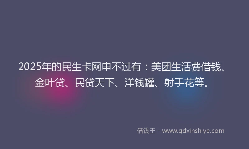 2025年的民生卡网申不过有：美团生活费借钱、金叶贷、民贷天下、洋钱罐、射手花等。