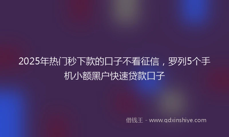 2025年热门秒下款的口子不看征信，罗列5个手机小额黑户快速贷款口子