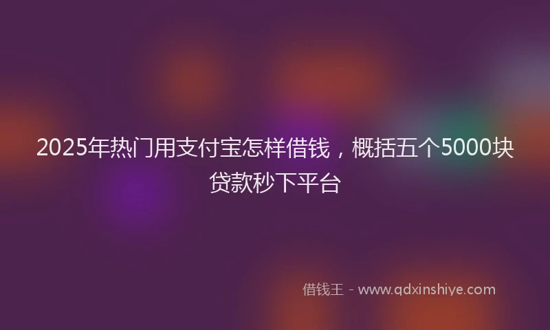 2025年热门用支付宝怎样借钱，概括五个5000块贷款秒下平台