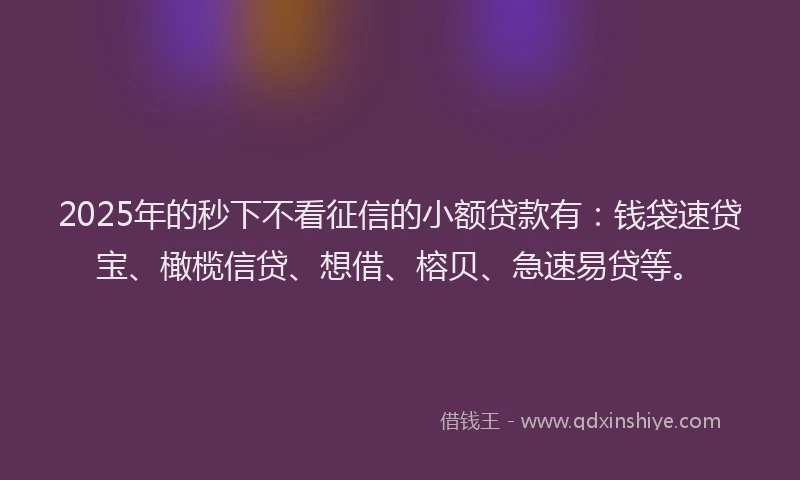 2025年的秒下不看征信的小额贷款有：钱袋速贷宝、橄榄信贷、想借、榕贝、急速易贷等。