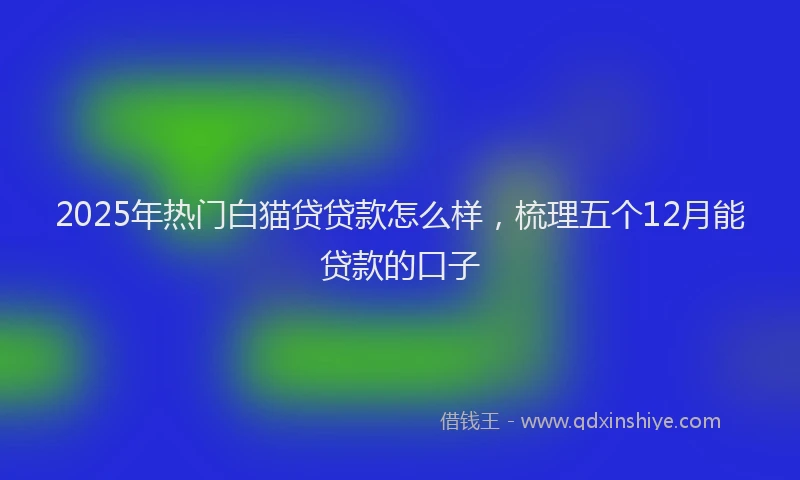 2025年热门白猫贷贷款怎么样，梳理五个12月能贷款的口子