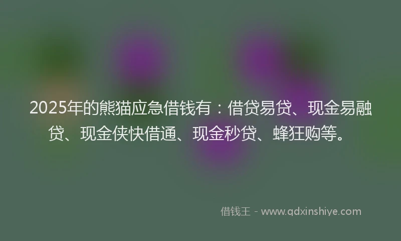 2025年的熊猫应急借钱有：借贷易贷、现金易融贷、现金侠快借通、现金秒贷、蜂狂购等。