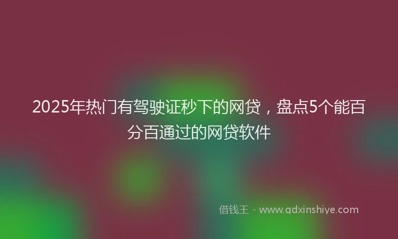 2025年热门有驾驶证秒下的网贷，盘点5个能百分百通过的网贷软件