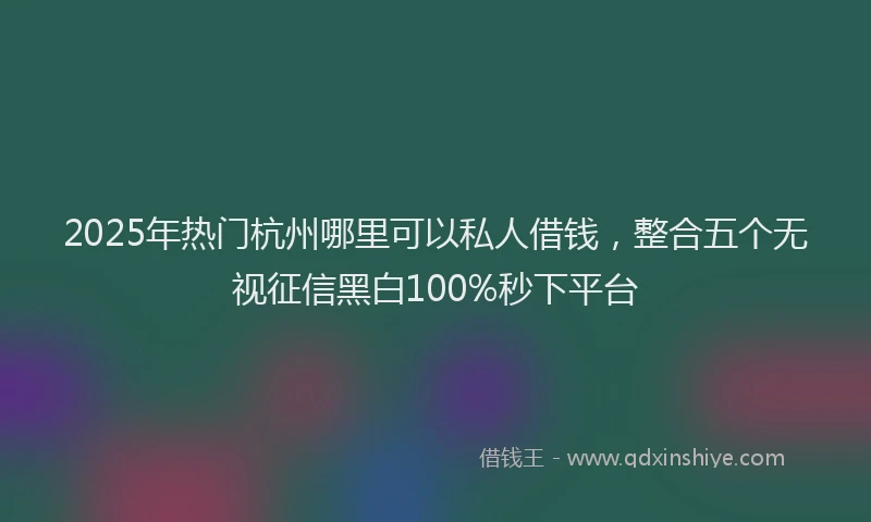 2025年热门杭州哪里可以私人借钱，整合五个无视征信黑白100%秒下平台