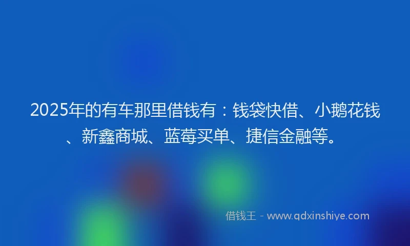 2025年的有车那里借钱有：钱袋快借、小鹅花钱、新鑫商城、蓝莓买单、捷信金融等。