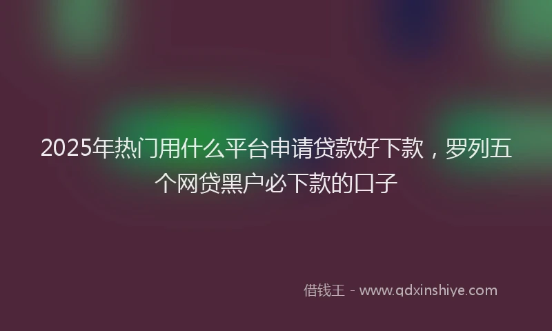 2025年热门用什么平台申请贷款好下款，罗列五个网贷黑户必下款的口子