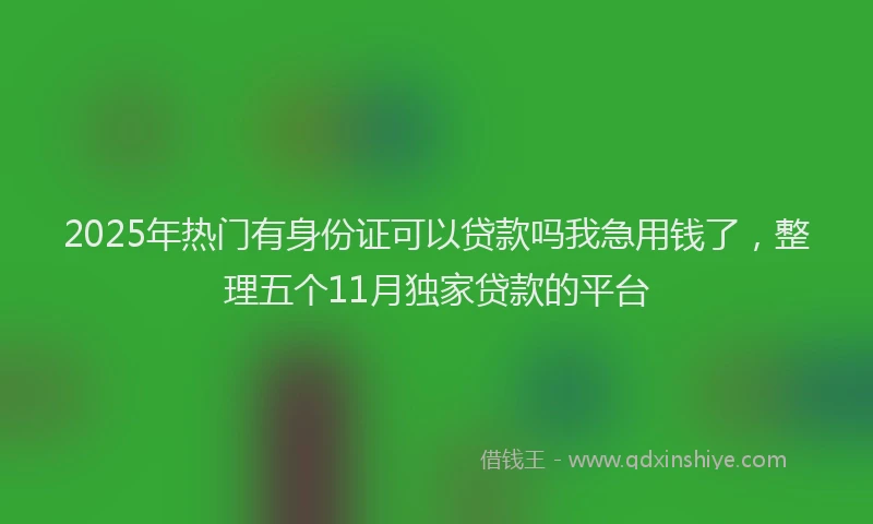 2025年热门有身份证可以贷款吗我急用钱了，整理五个11月独家贷款的平台