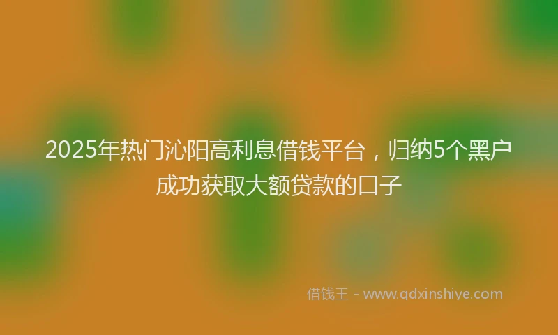 2025年热门沁阳高利息借钱平台，归纳5个黑户成功获取大额贷款的口子