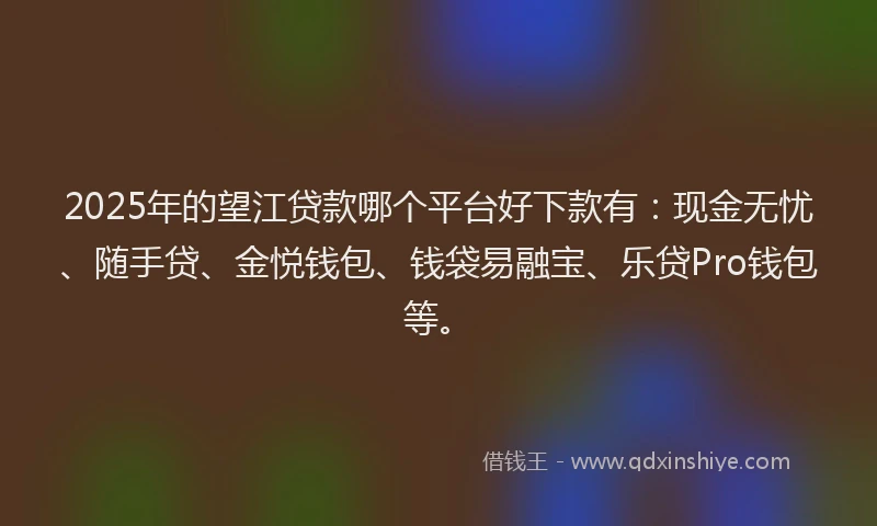 2025年的望江贷款哪个平台好下款有：现金无忧、随手贷、金悦钱包、钱袋易融宝、乐贷Pro钱包等。
